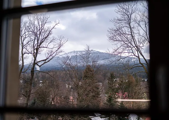 Z Basenem I Saunami Stone Hill Vip Centrum By Royal Aparts *